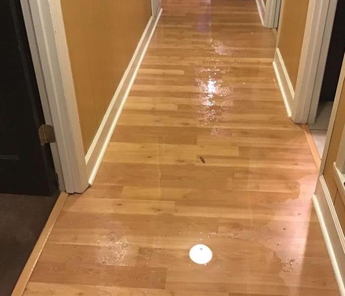 Water Damage to Flooring